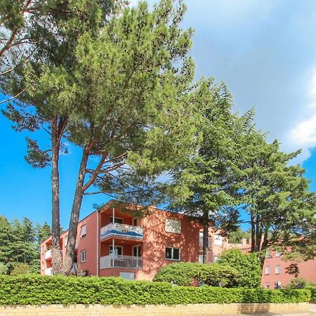 Novigrad Istria Vesna S Apartment מראה חיצוני תמונה